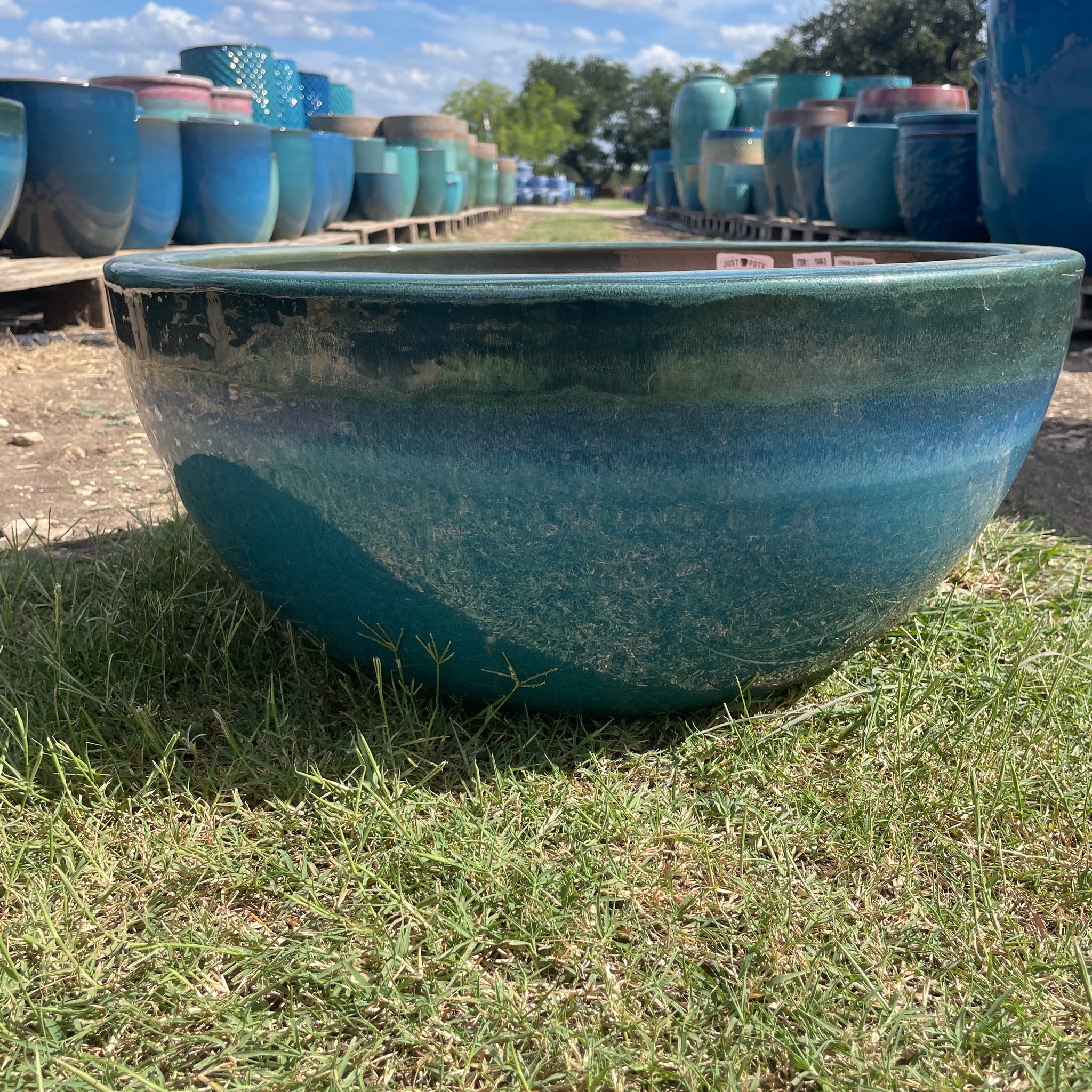 Low Bowl