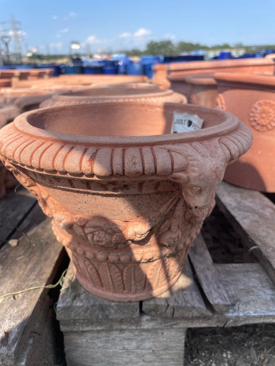 Italian Jar w Ram Heads