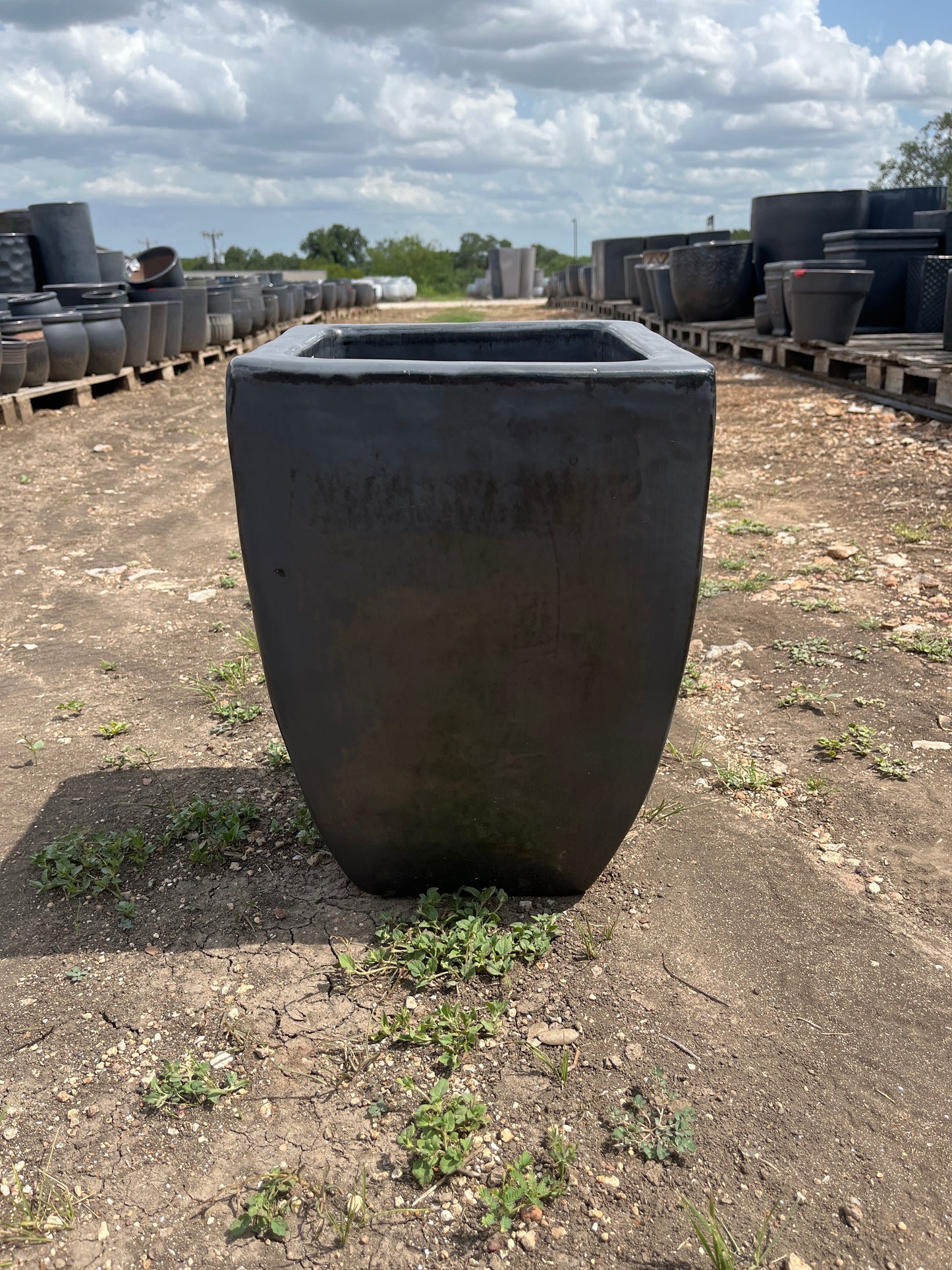 Matte Black Smooth Bowed Square Planter 15"