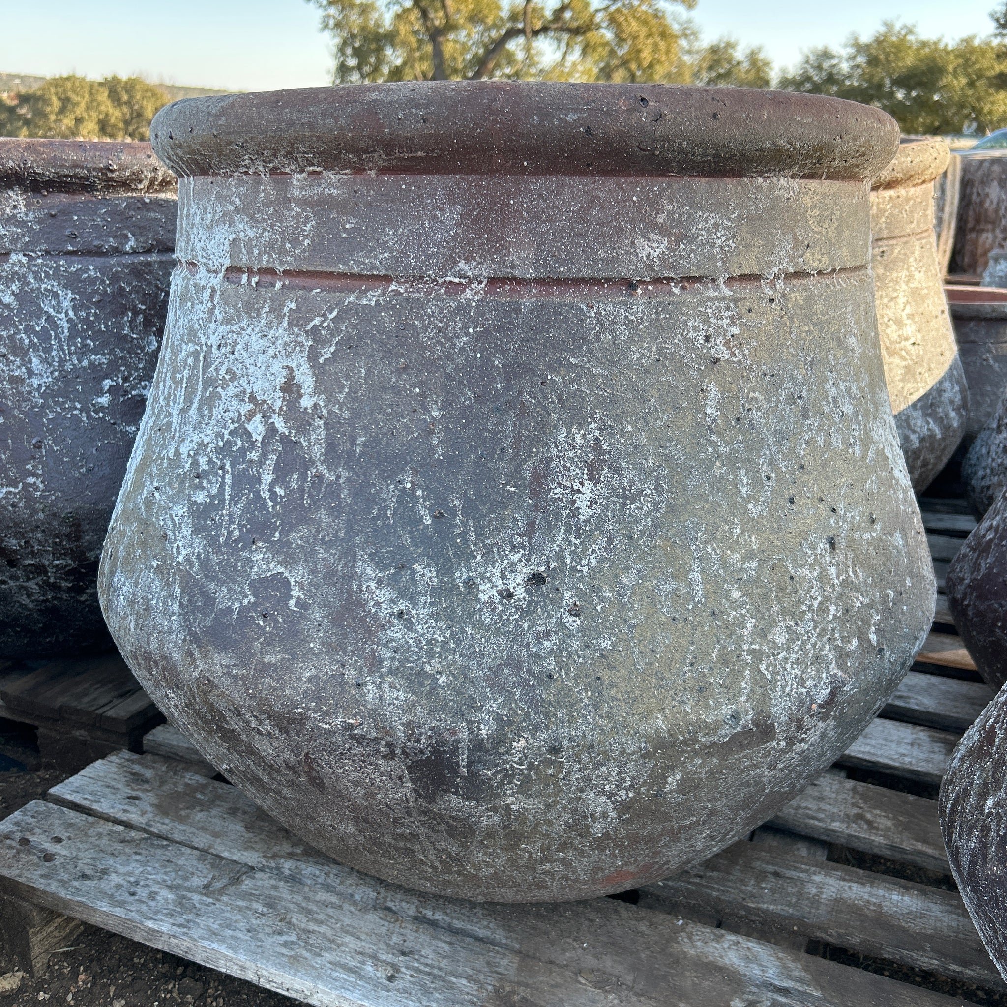 Round Lipped Jug Planter