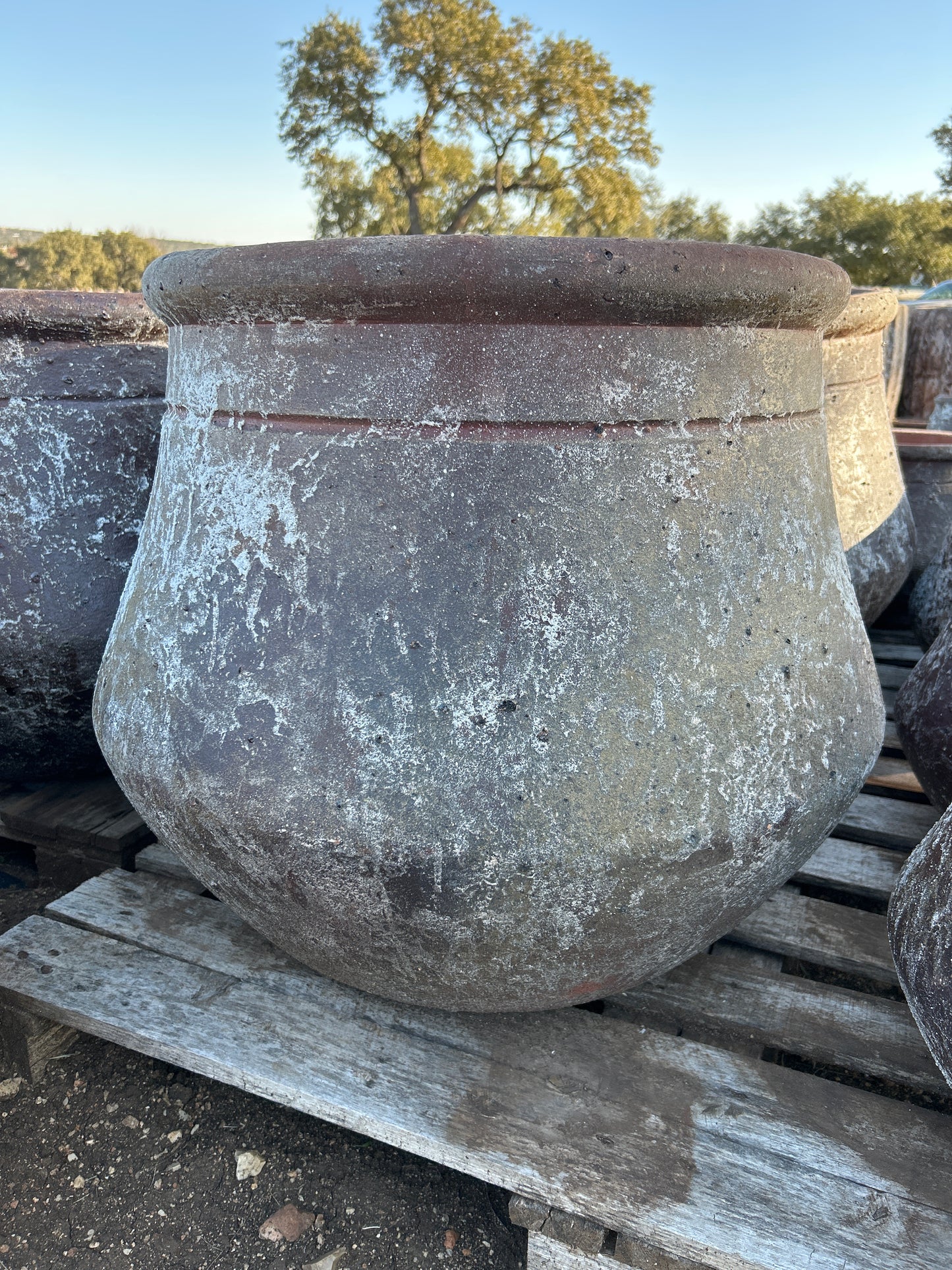 Snow Brown Round Lipped Jug Planter 22"