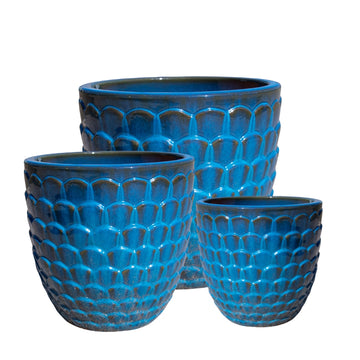 Lipless Scale Planter