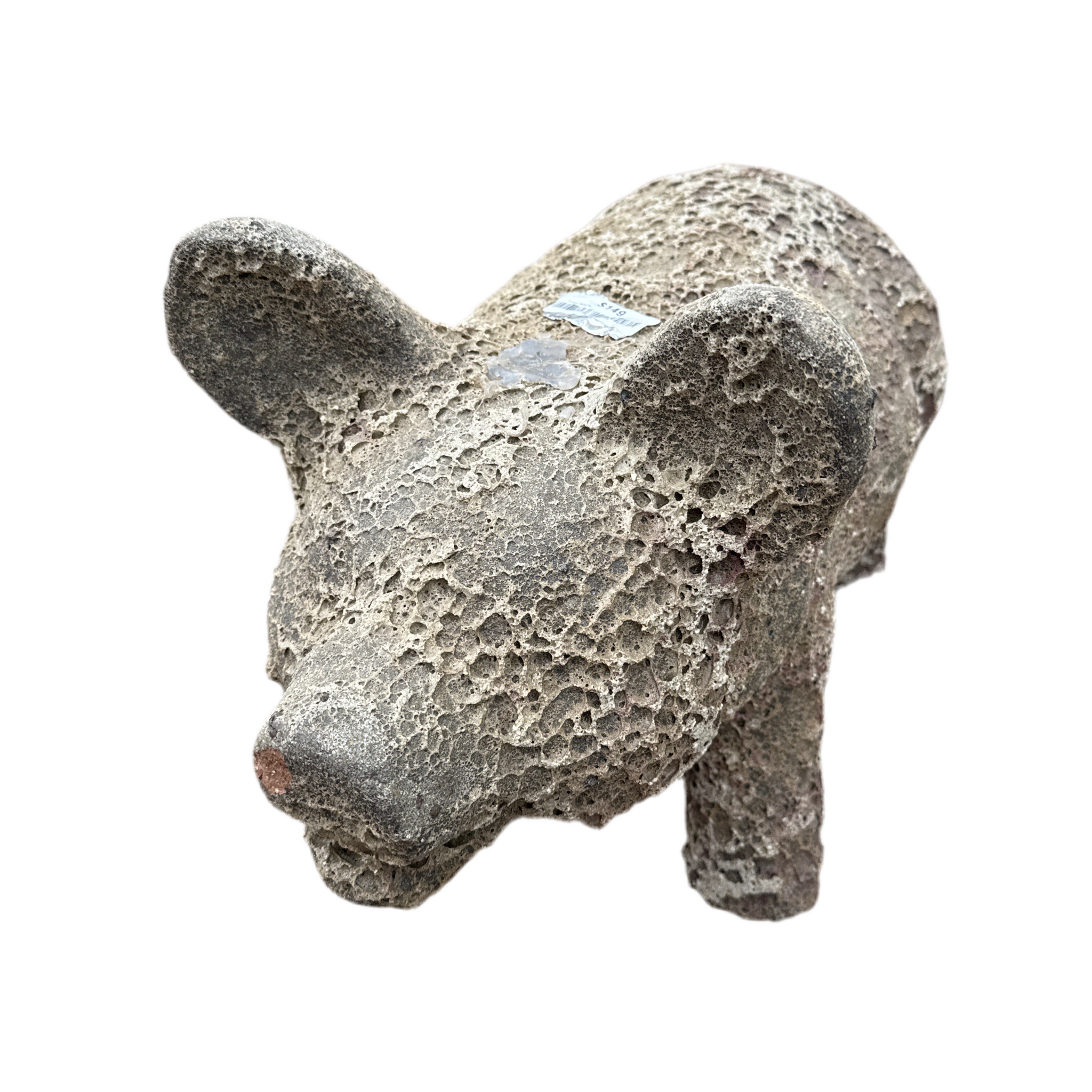 Oceanic White Pig