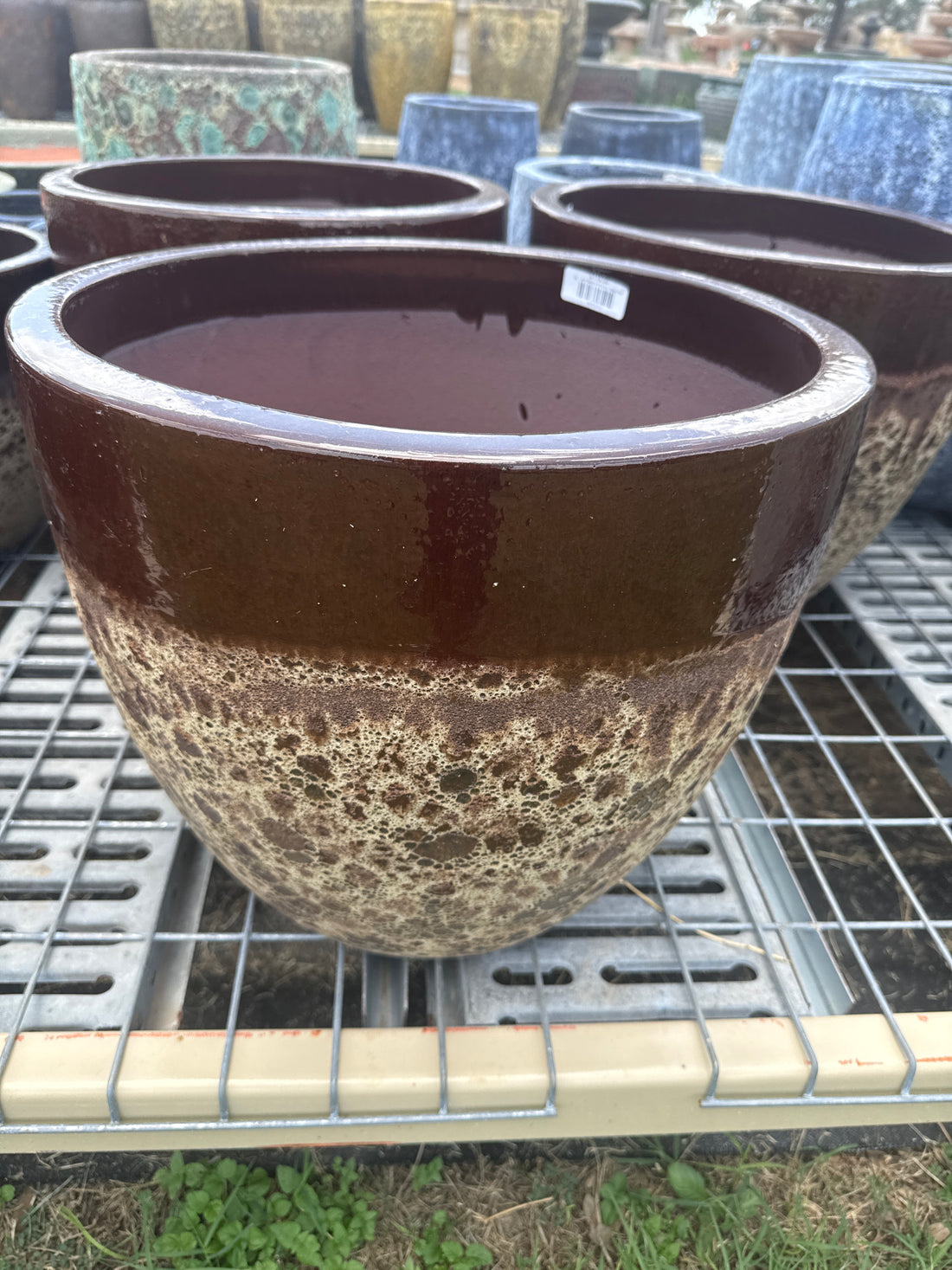 Egg Pot