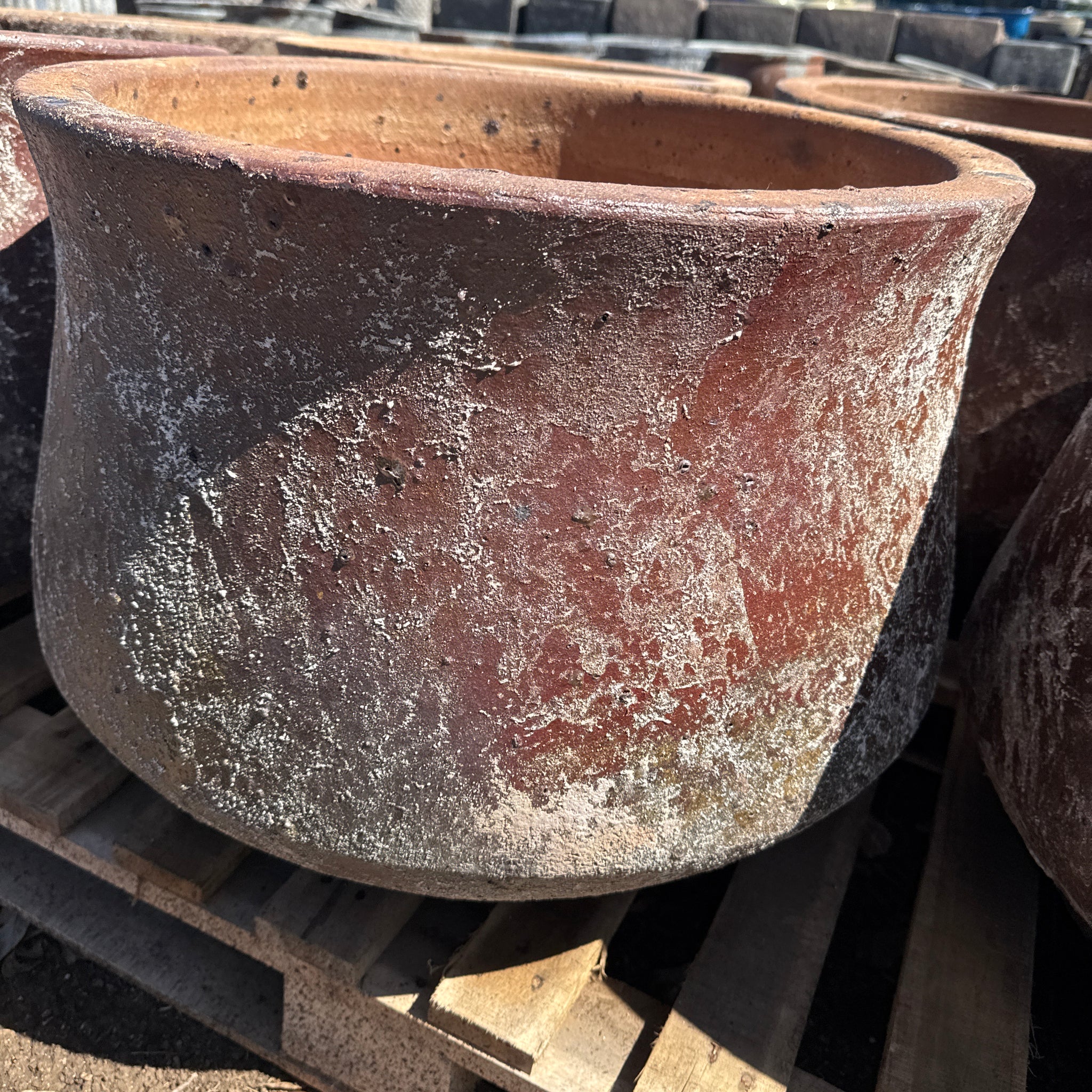 Wide Planter