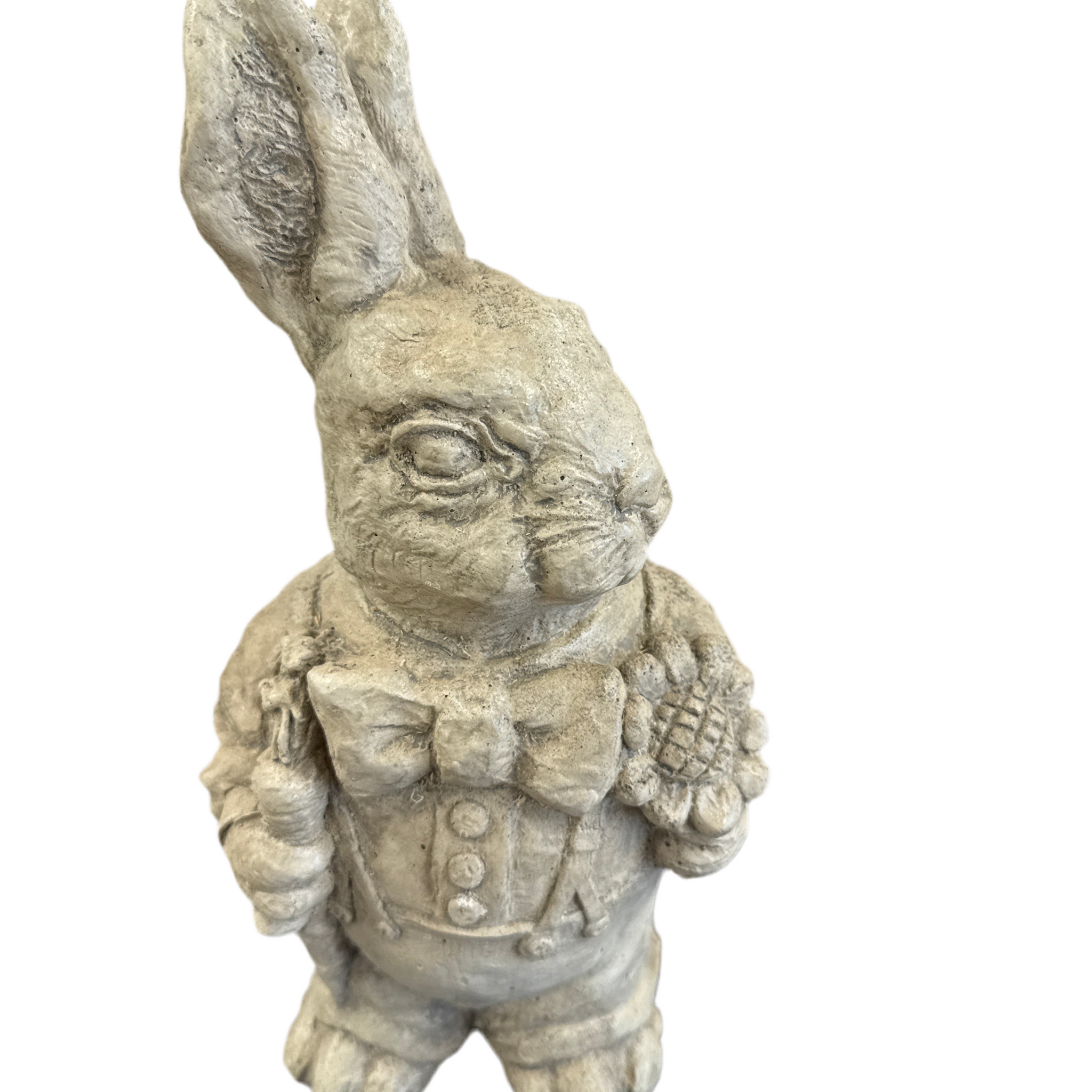 Mr. Bunny