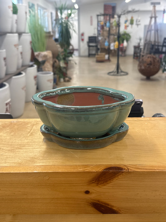 Jade Green Clover Bonsai Pot