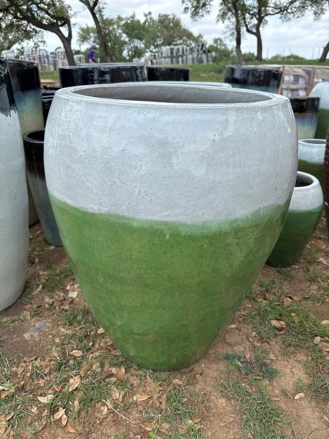 Castilla Planter