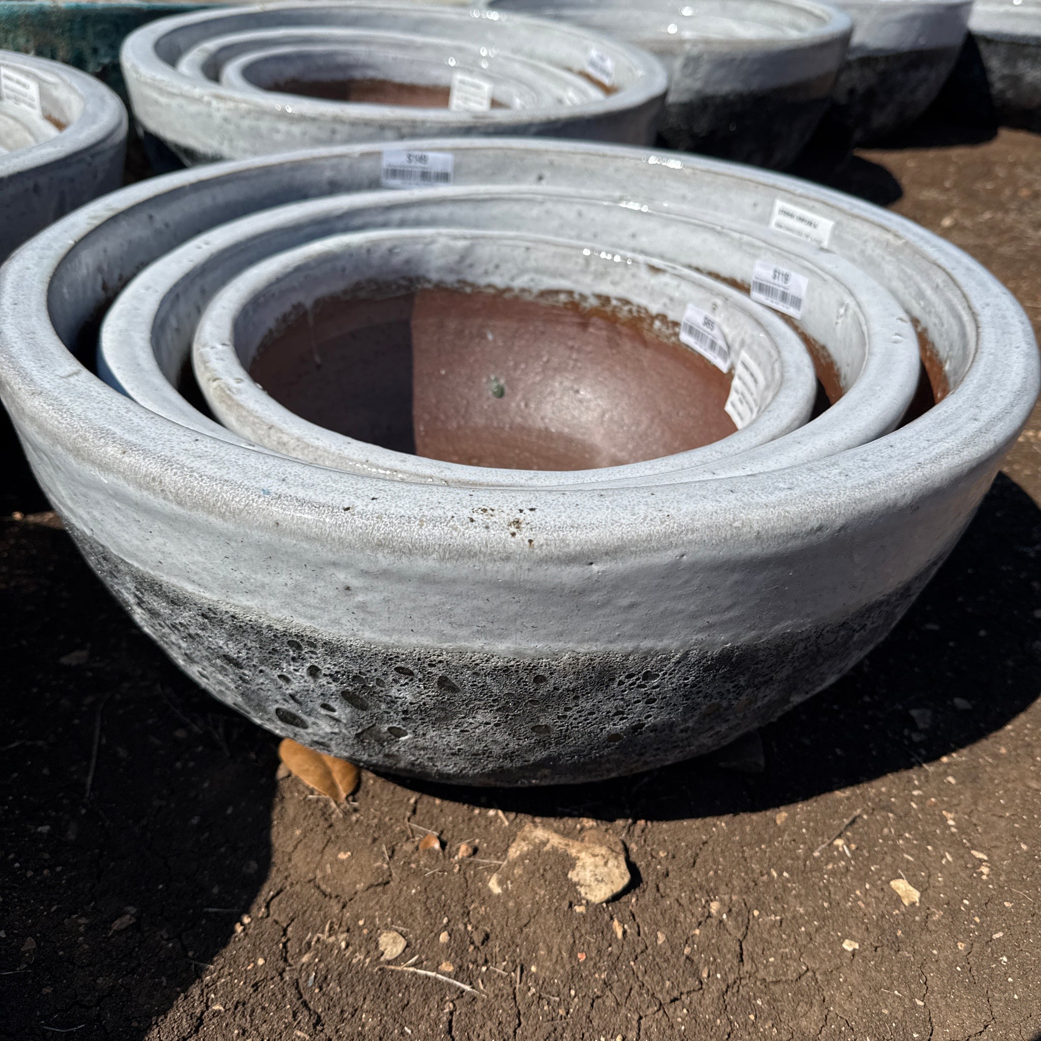 Bowl Planter