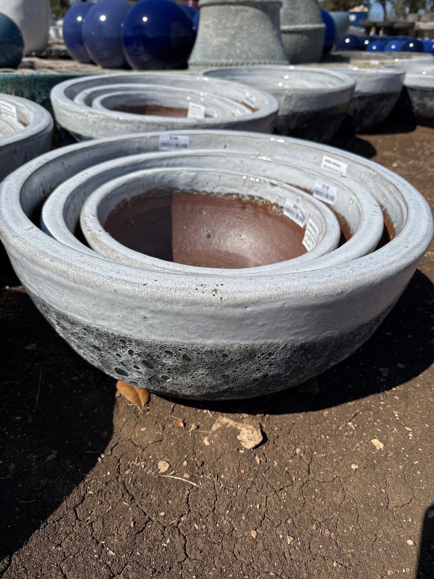 White over Bubbled Black Bowl Planter 6"