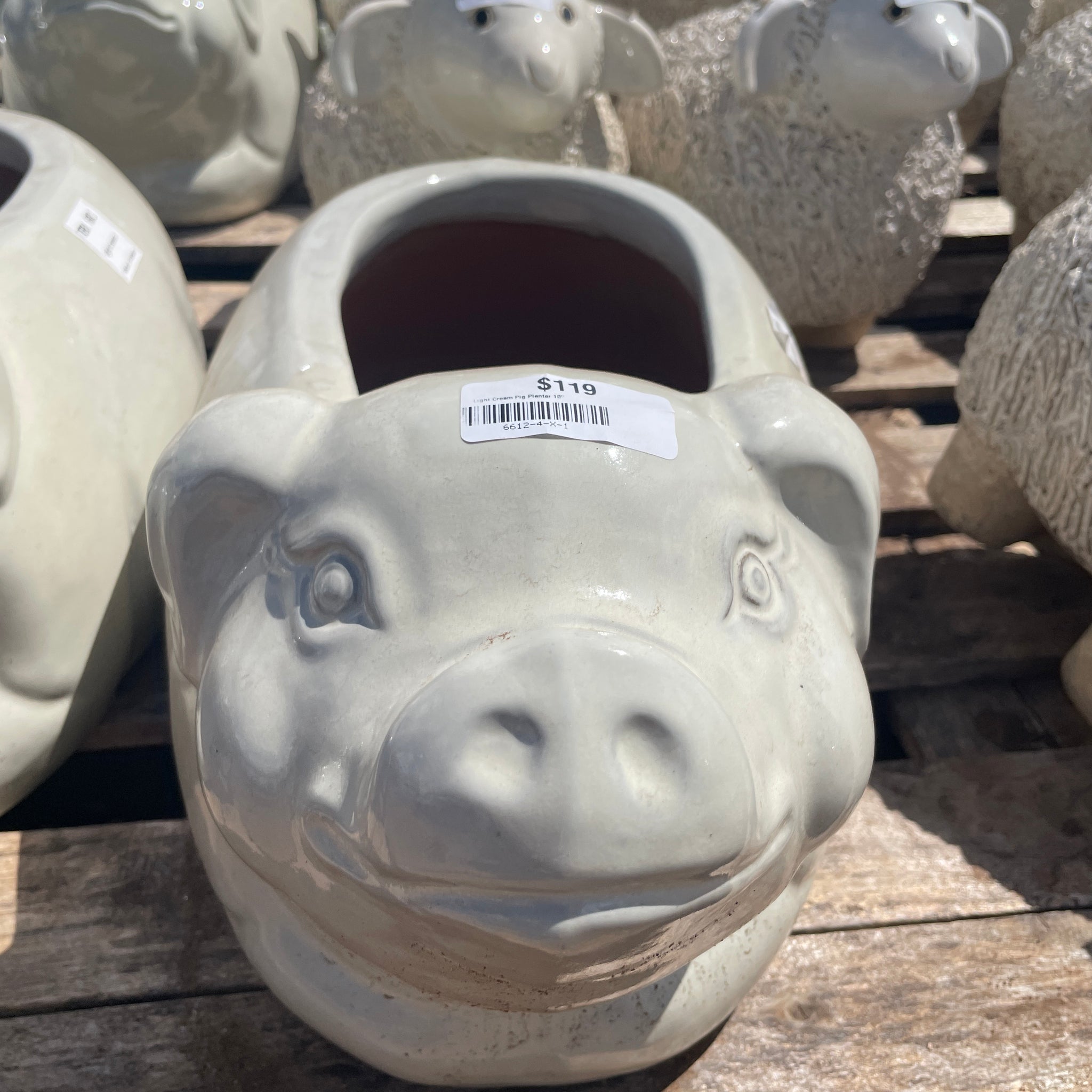 Pig Planter