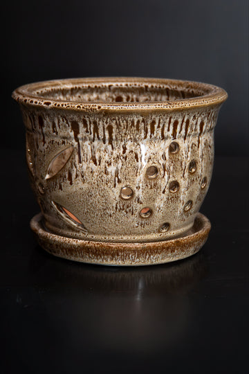 Round Orchid Pot