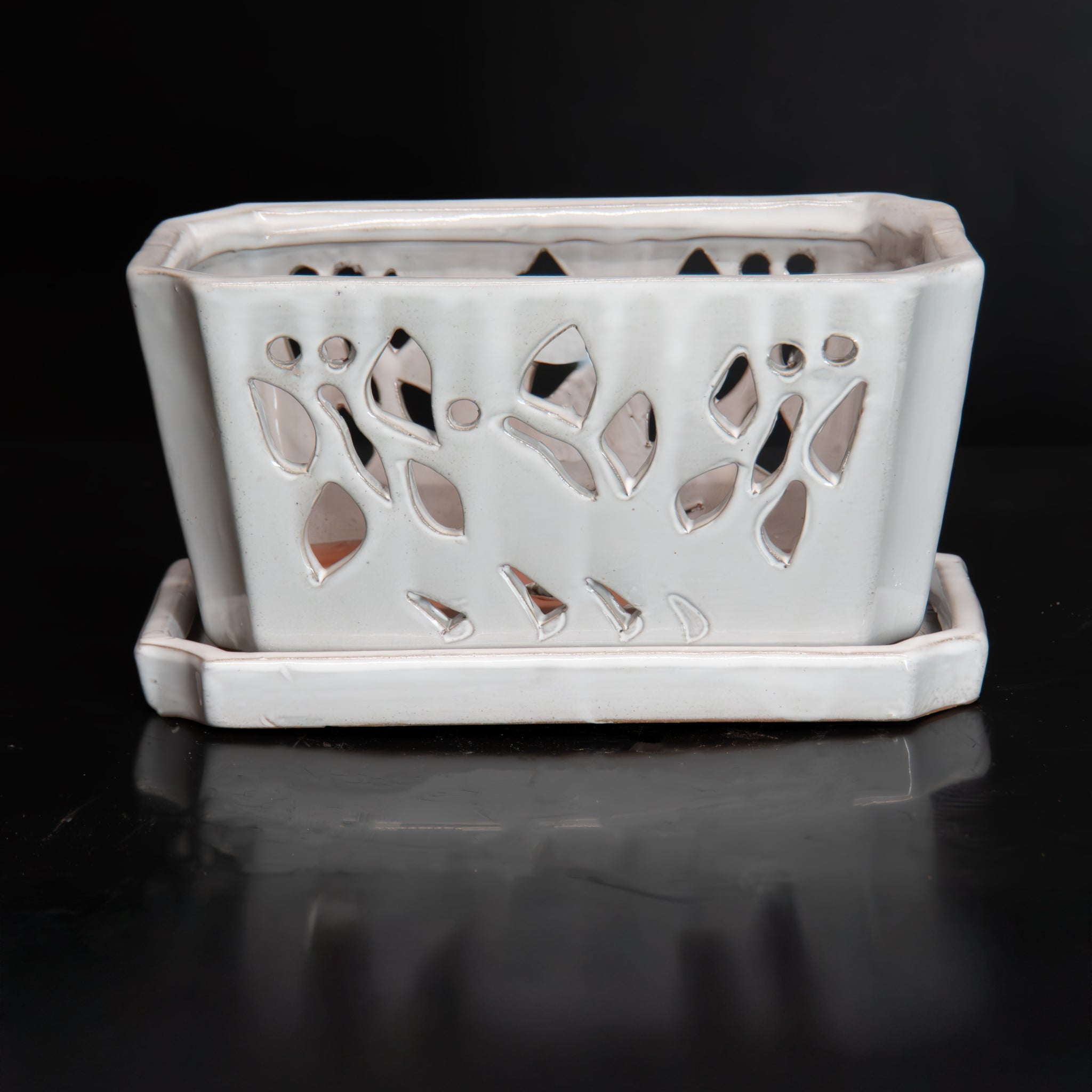 Butterfly Orchid Pot