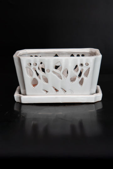 Butterfly Orchid Pot