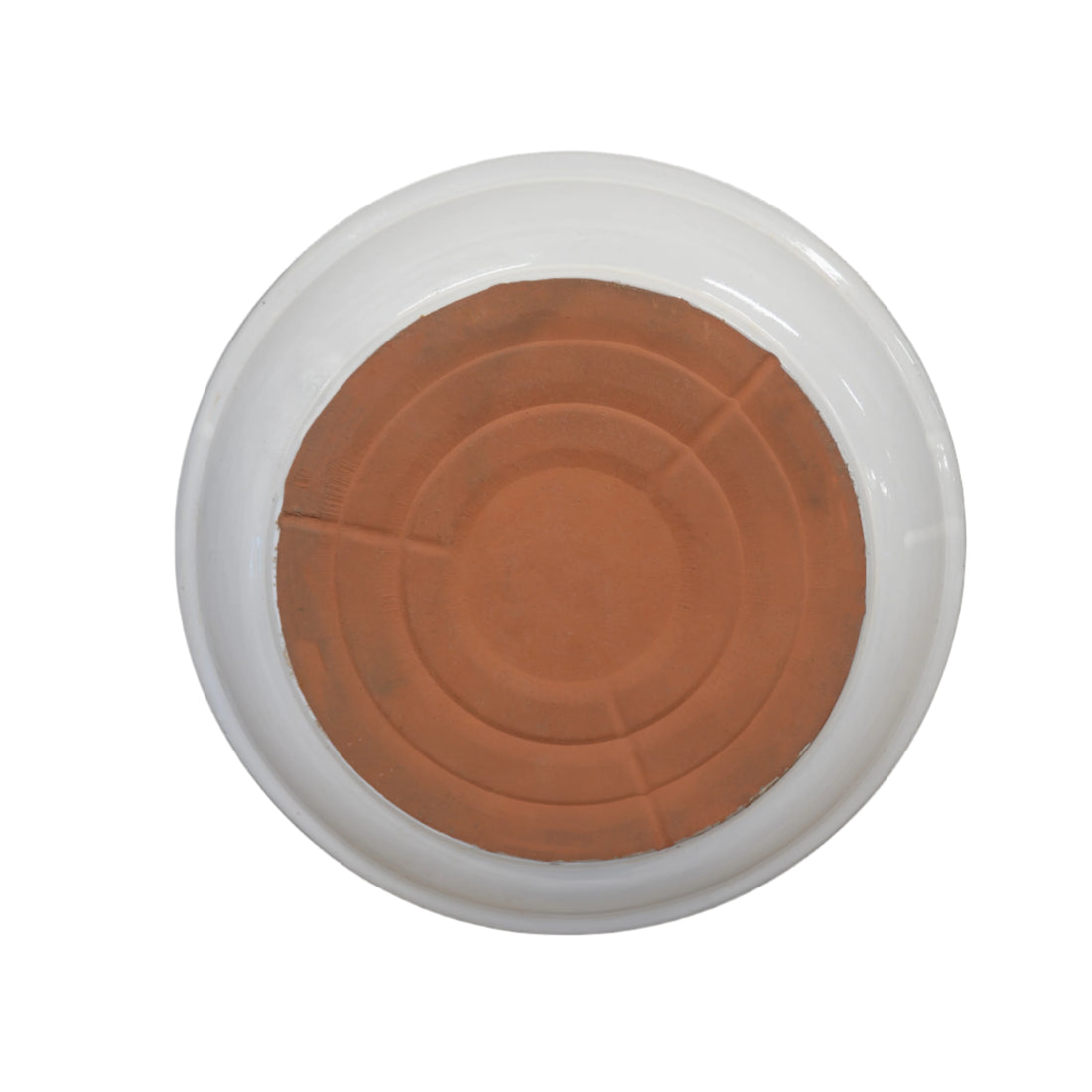 Collegiate Saucers (Bundled)