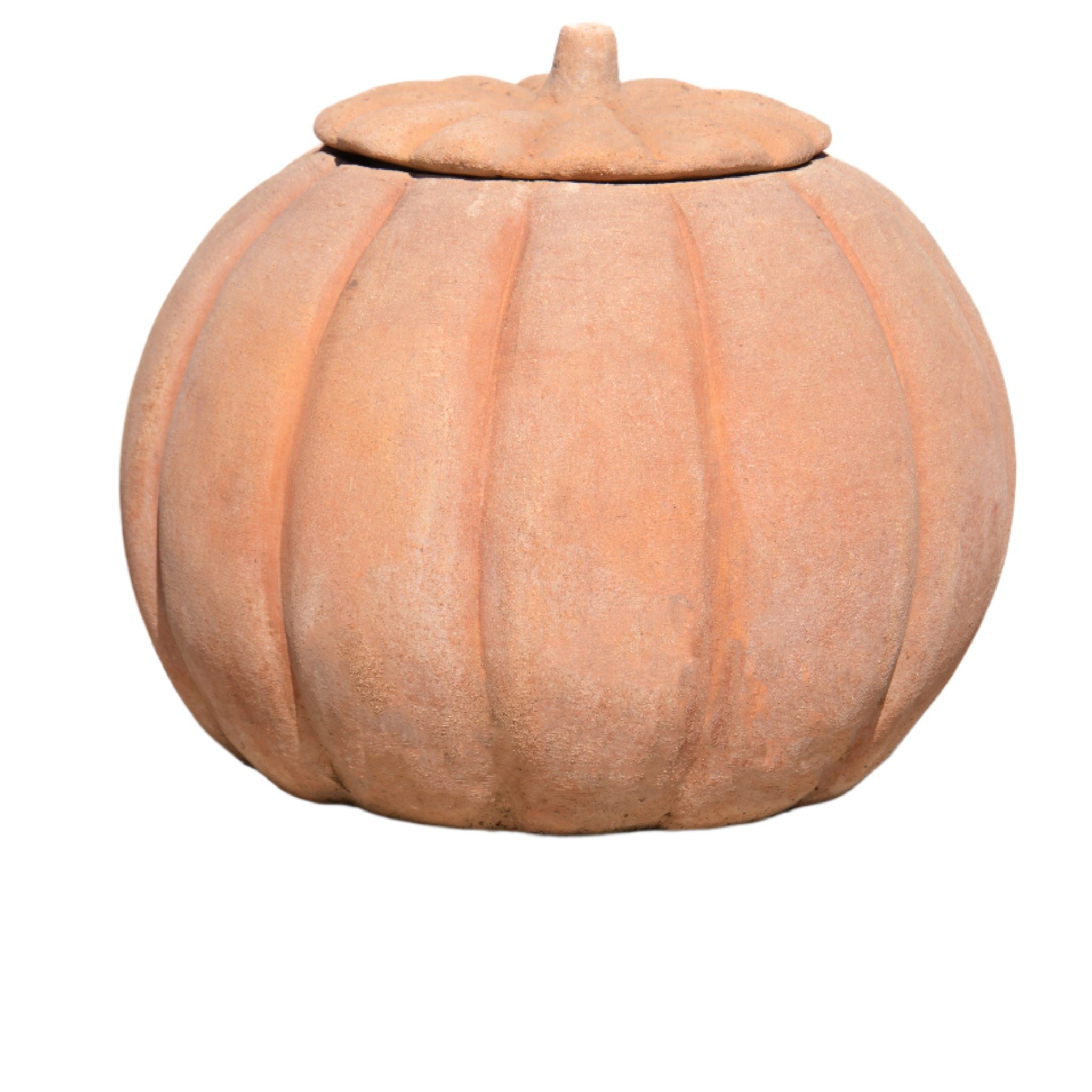 Italian Pumpkin Pot 11"