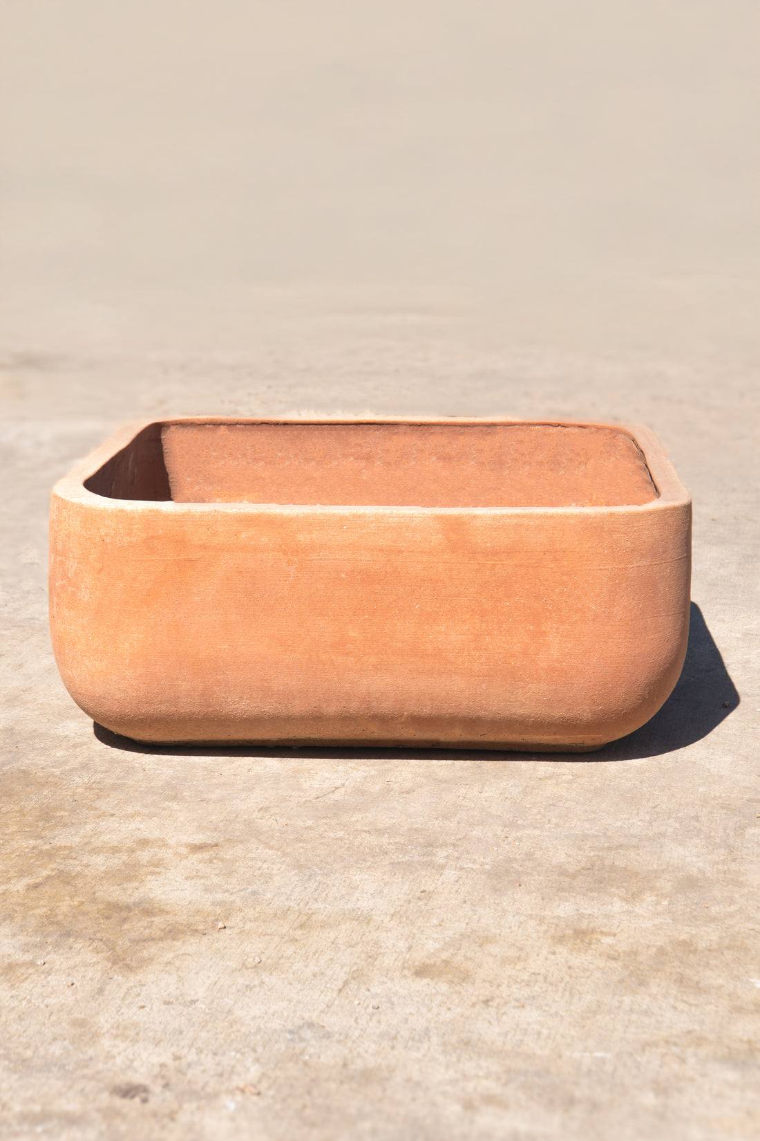Italian Architect Planter 8"