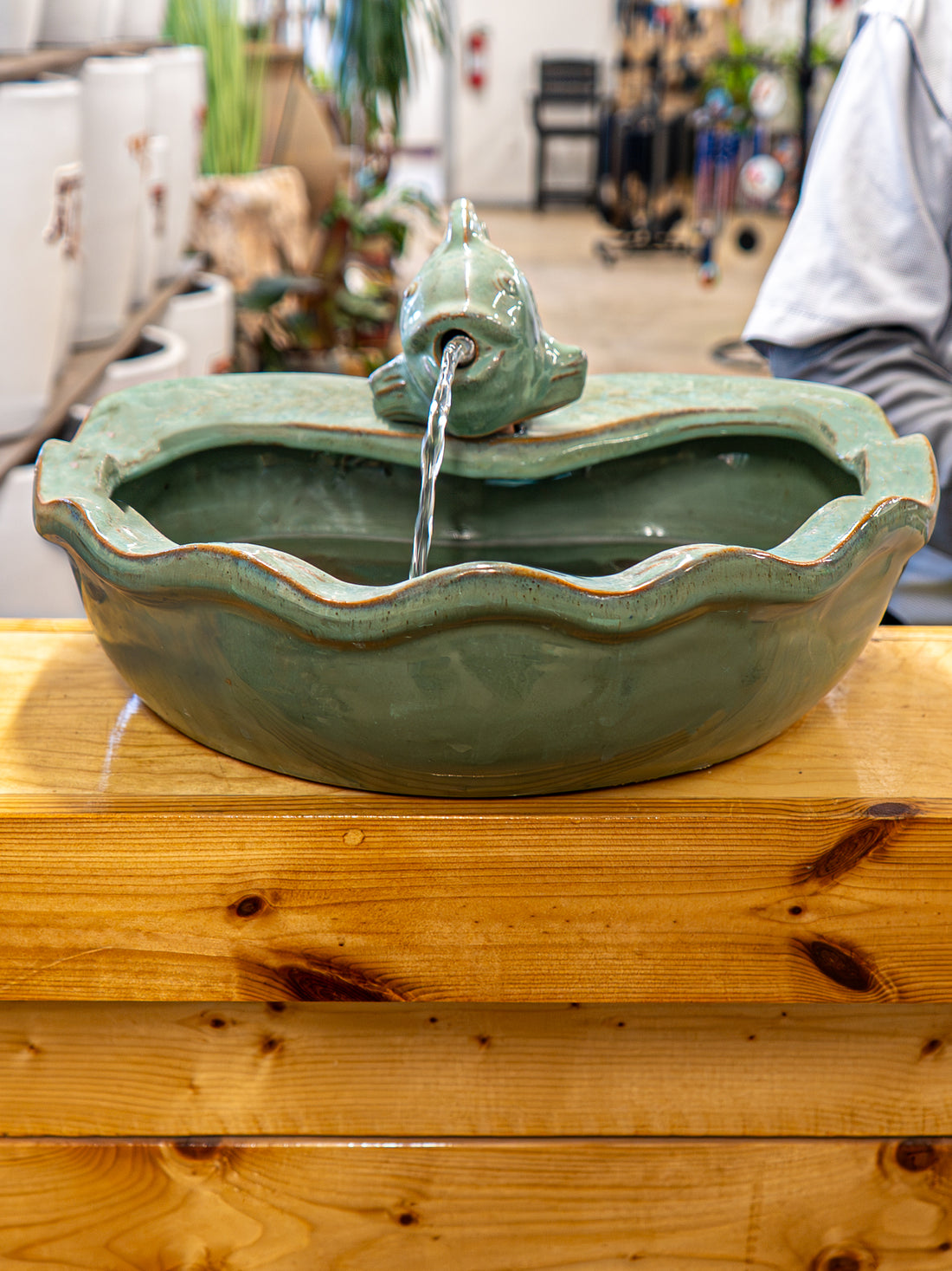 Fish Fountain