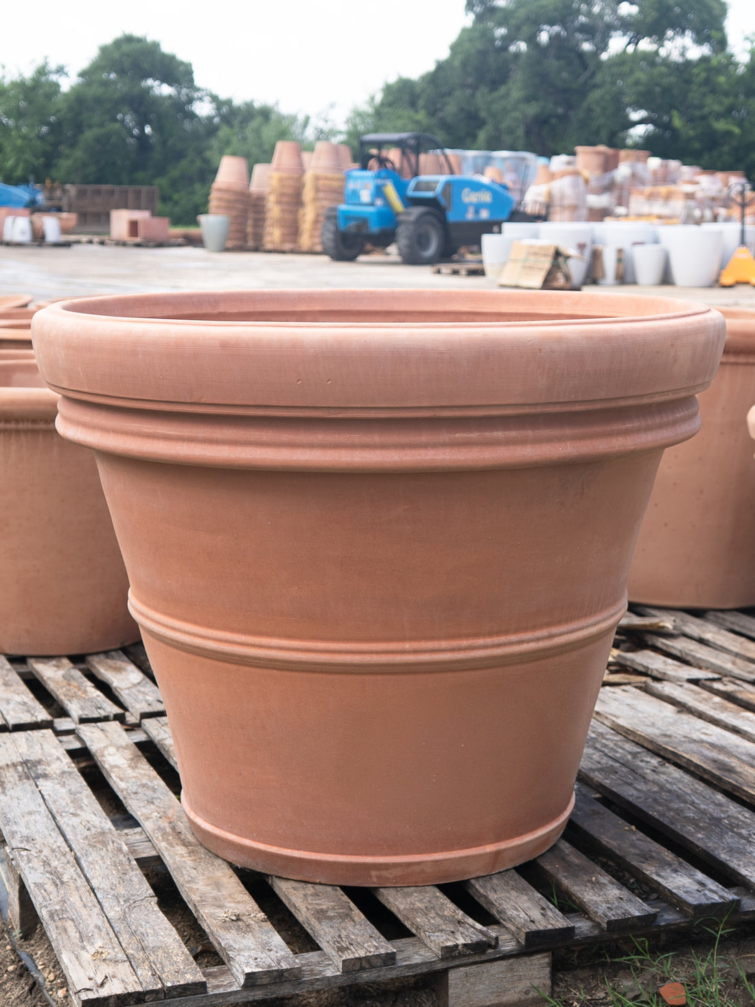 Vaso Liscio D.B.