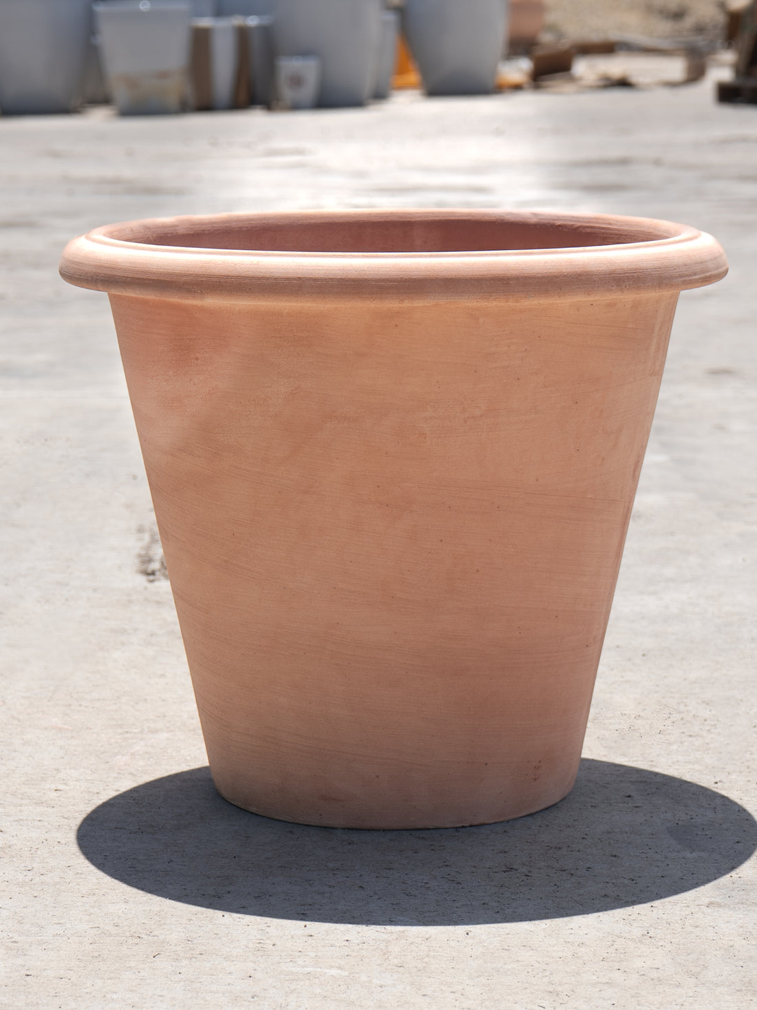 Vaso Camelia
