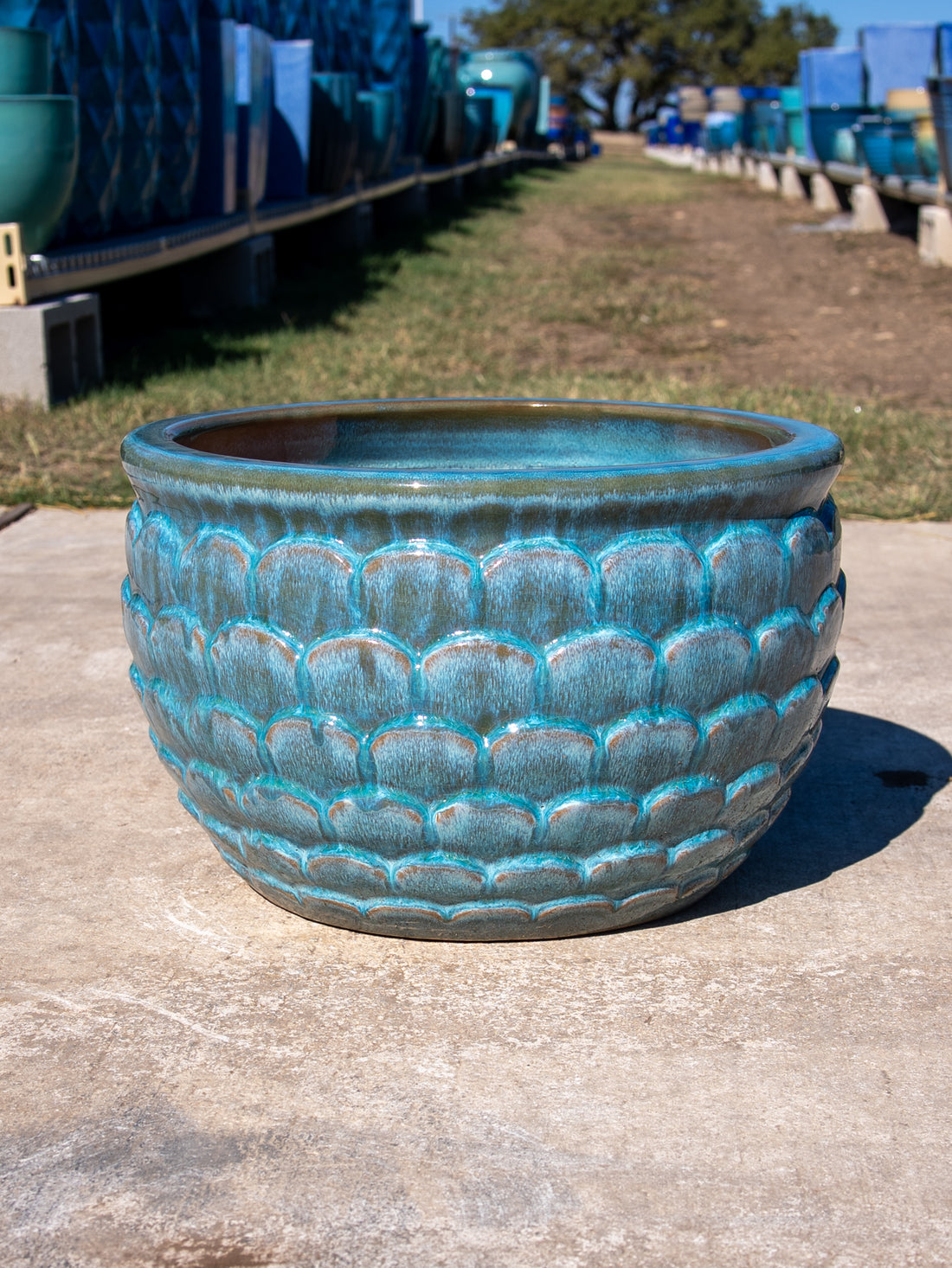 Low Lipped Scale Planter