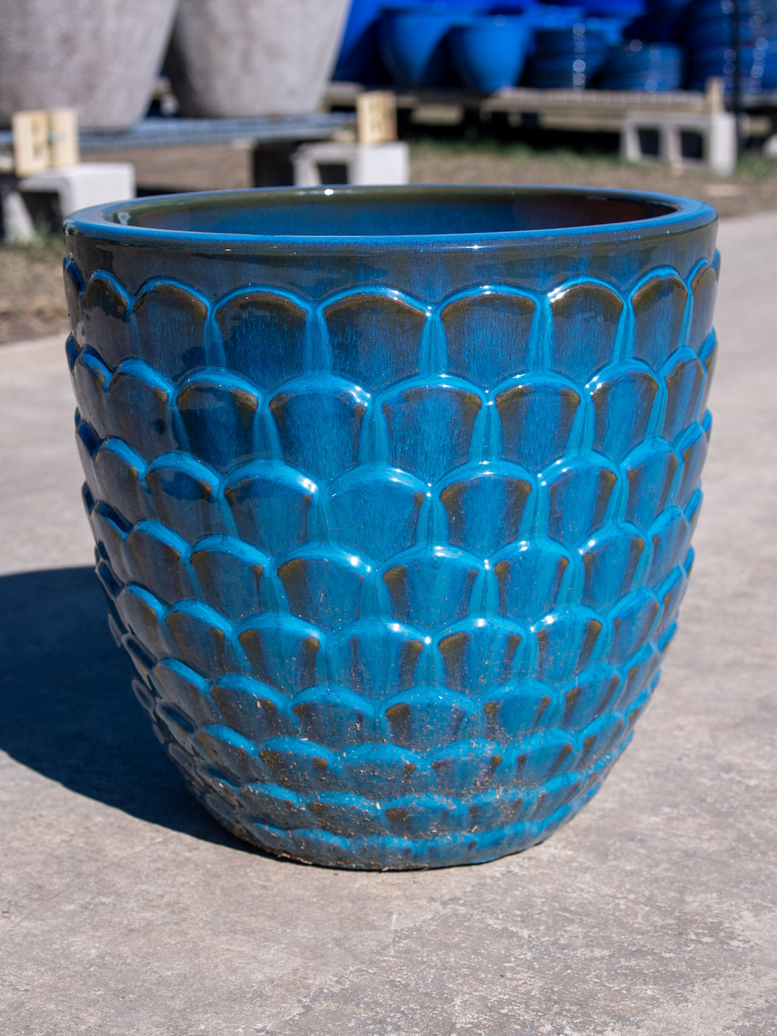 Lipless Scale Planter