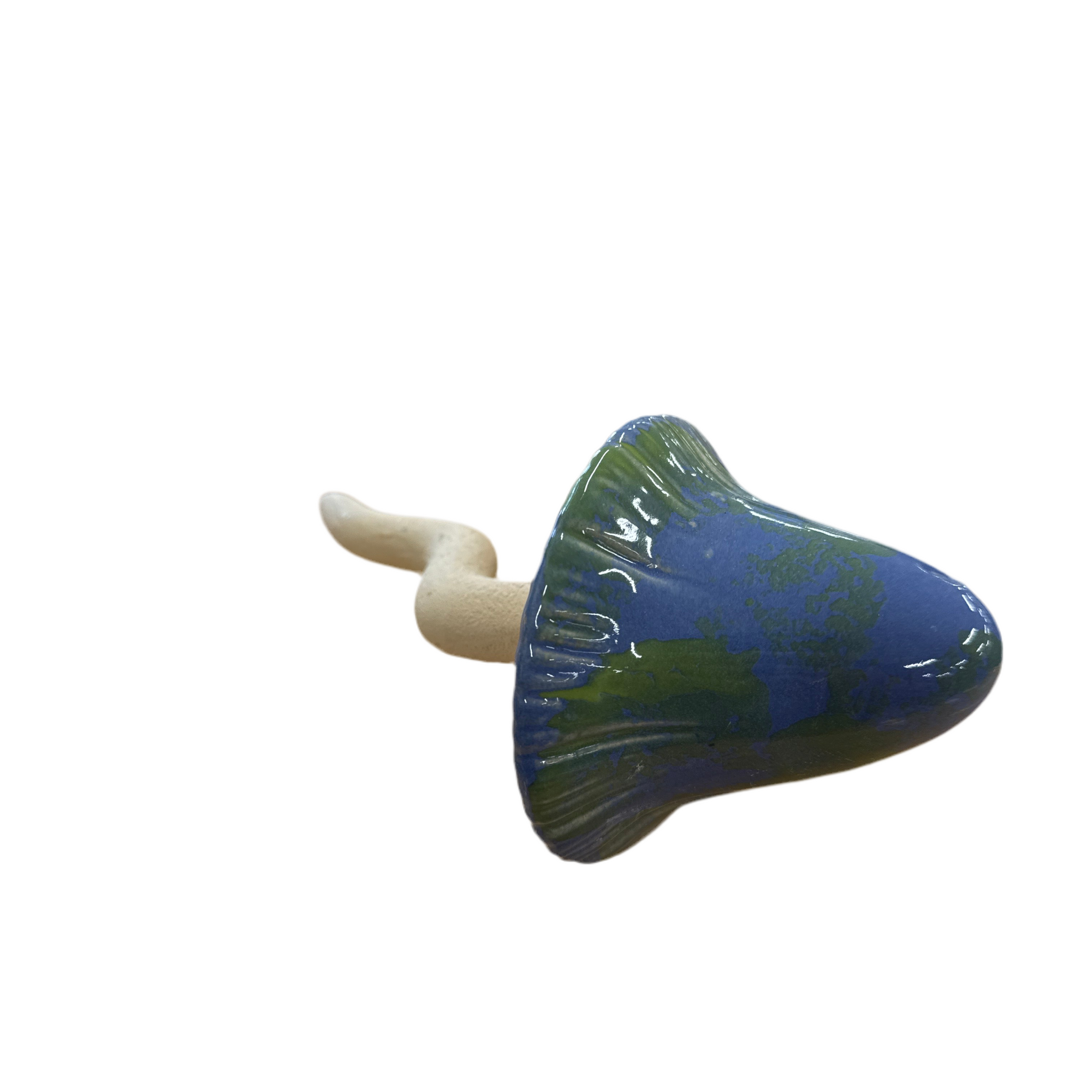 Blue Cone Mushroom