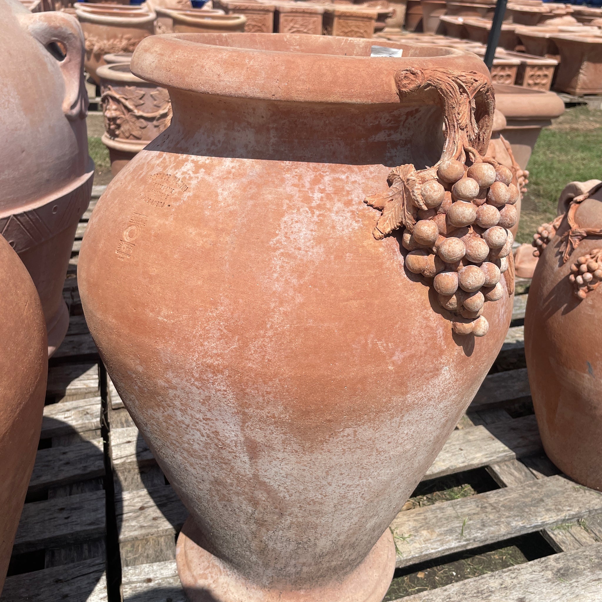 Italian Amphora w Grapes 26"