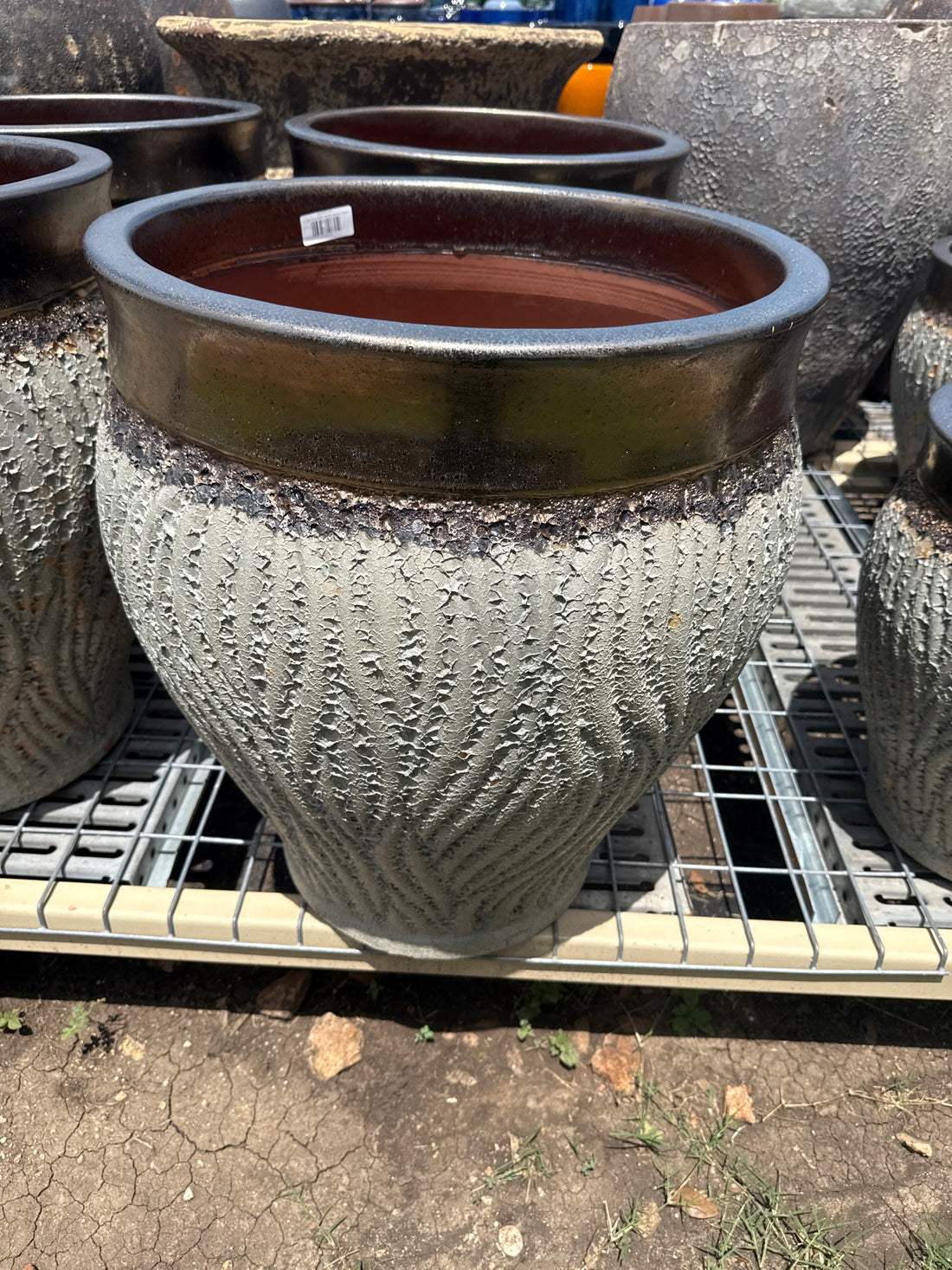 Verdant Sanctum Planter