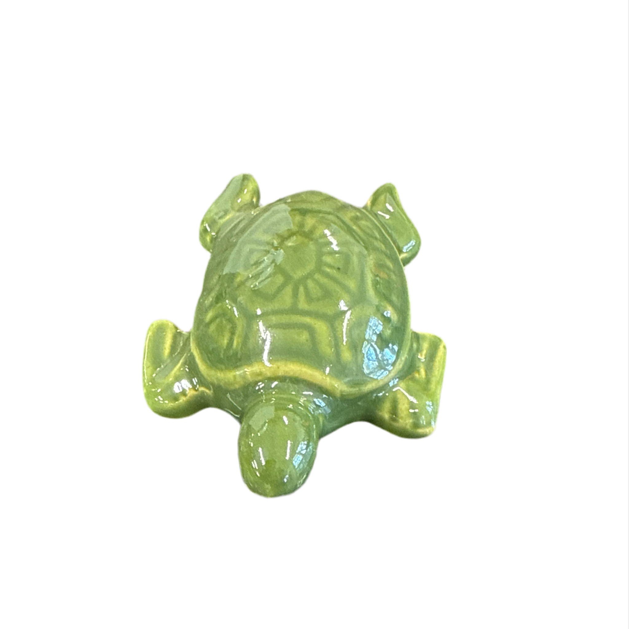 Sea Turtle