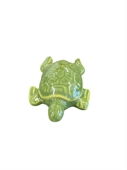 Sea Turtle