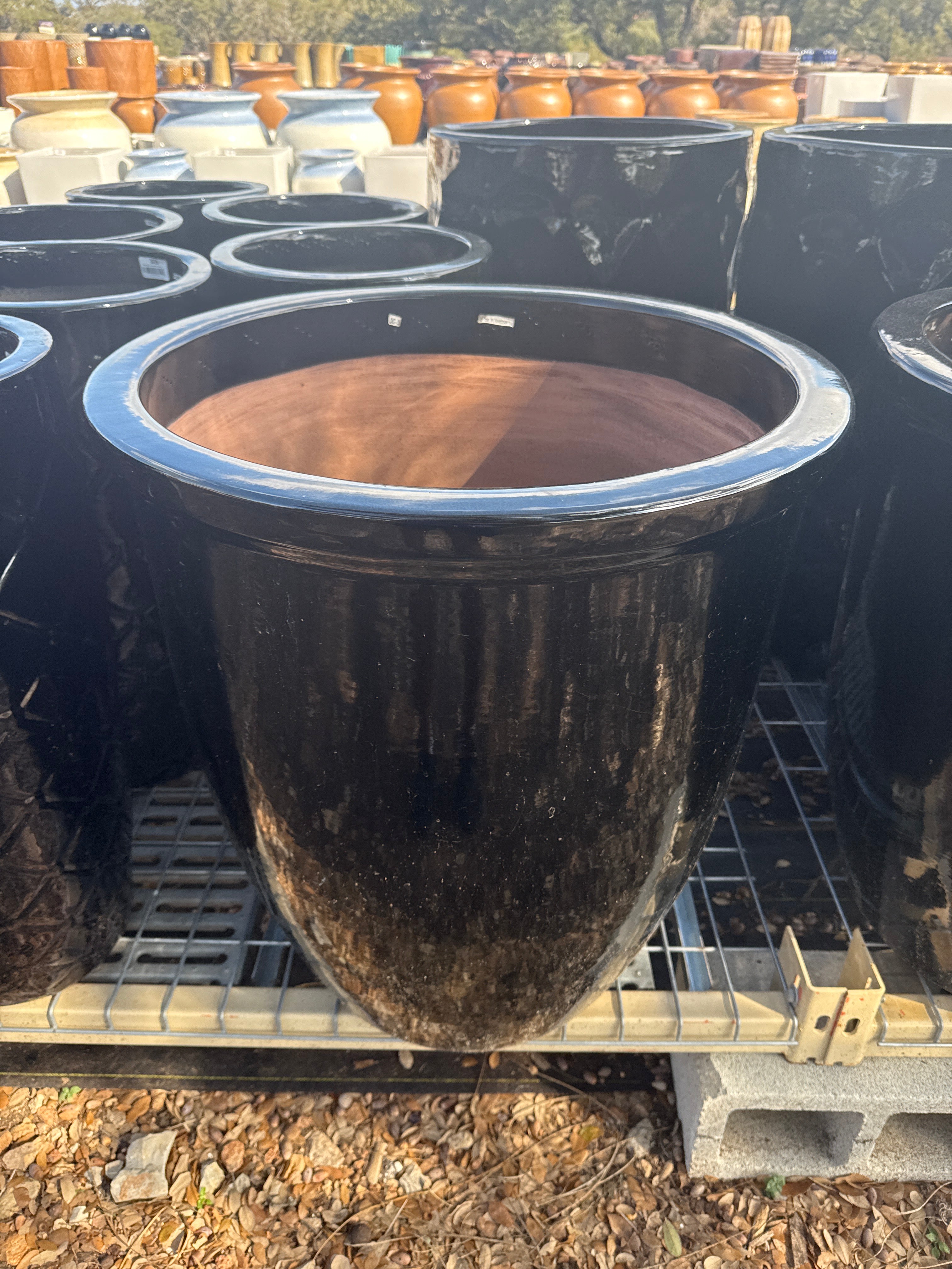 Tapered Rim Planter