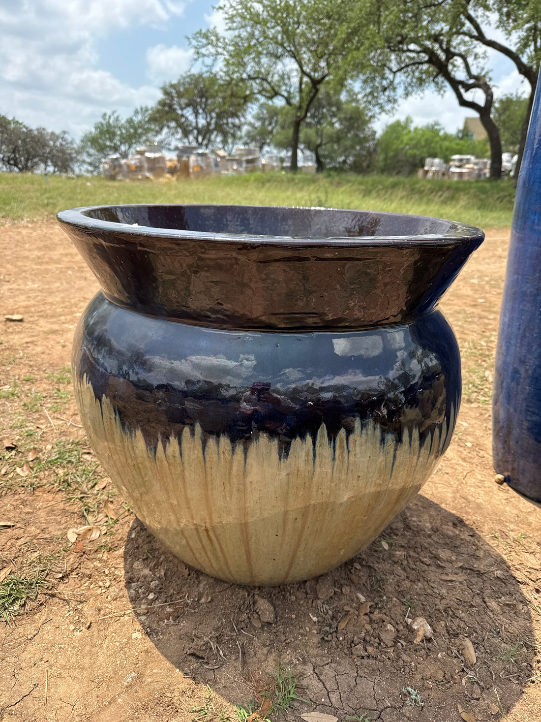 Onion Planter