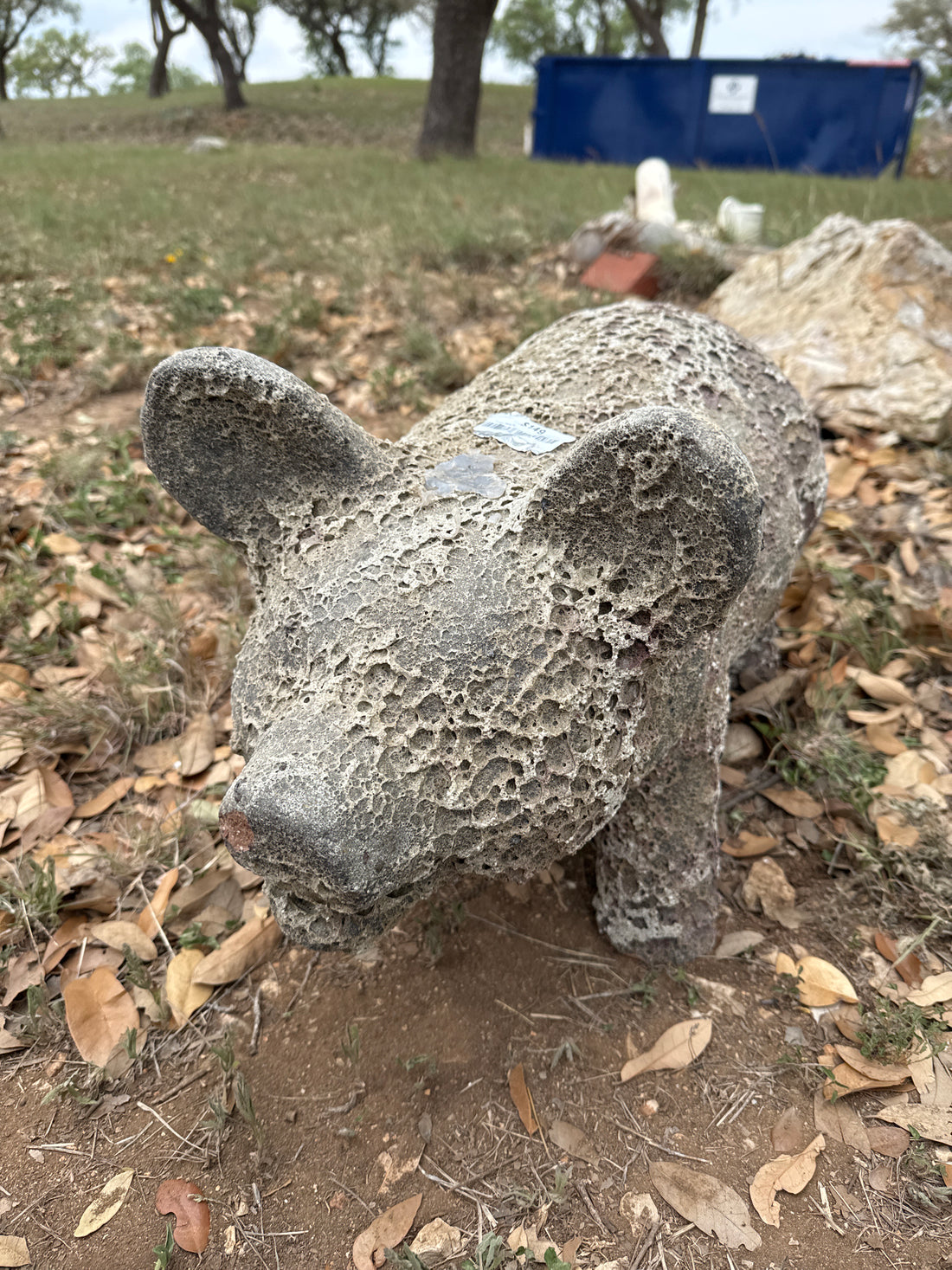 Oceanic White Pig