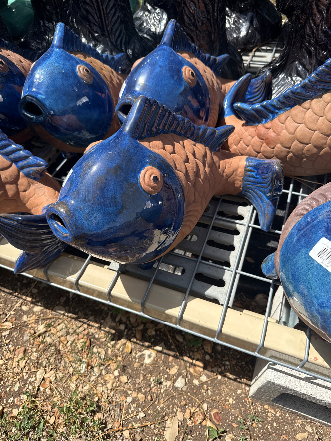 Dark Clay and Blue Fish
