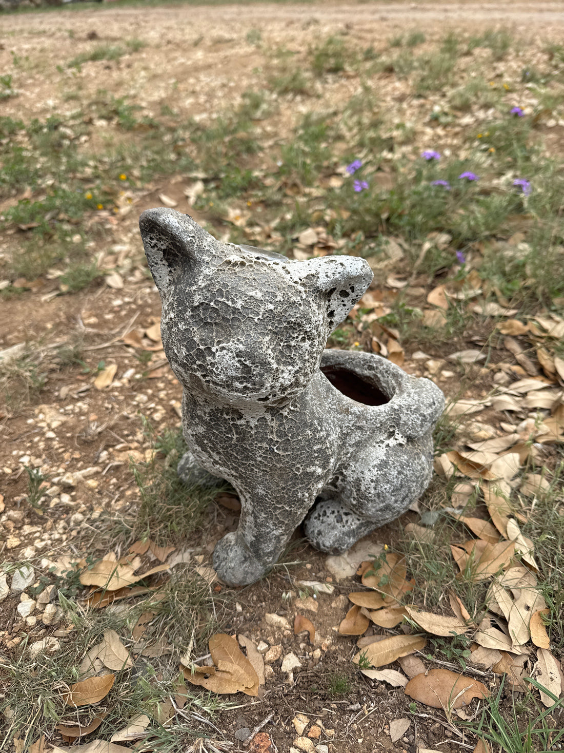 Oceanic White Cat Planter