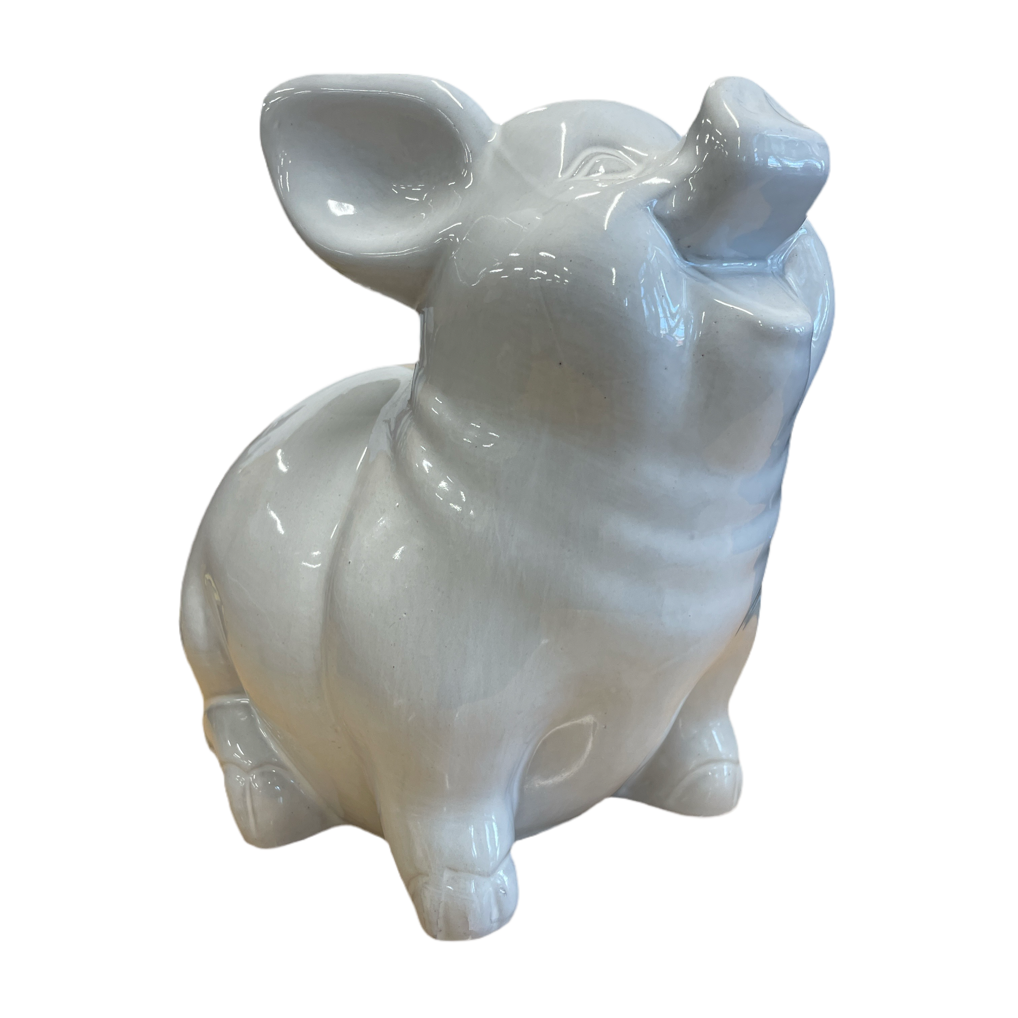 White Pig