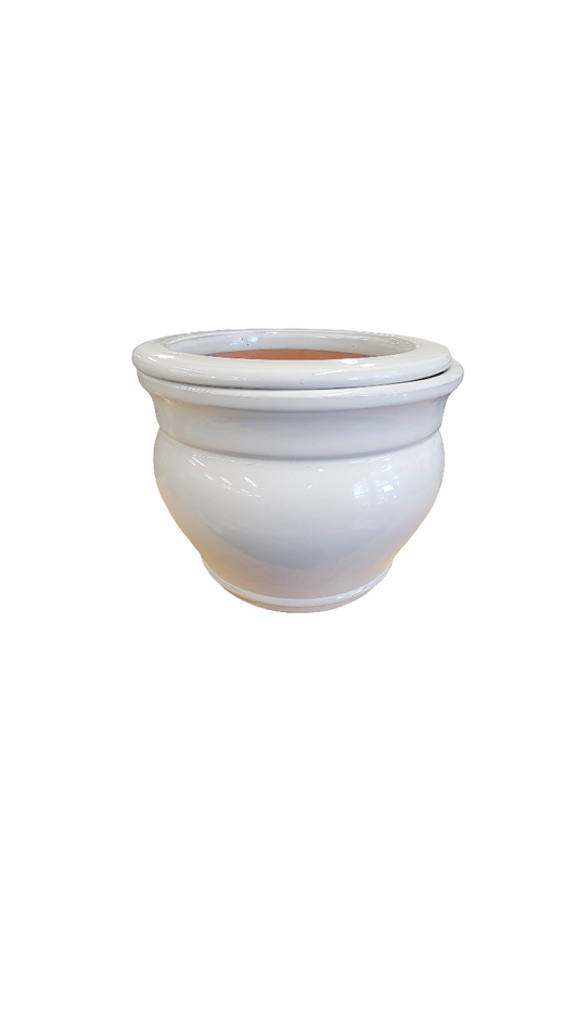 White Double Rim Self-Watering Planter
