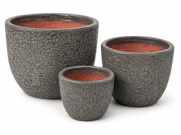Egg Planter 10