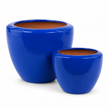 Curvora Planter