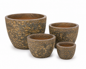 Egg Planter