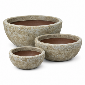 Bowl Planter