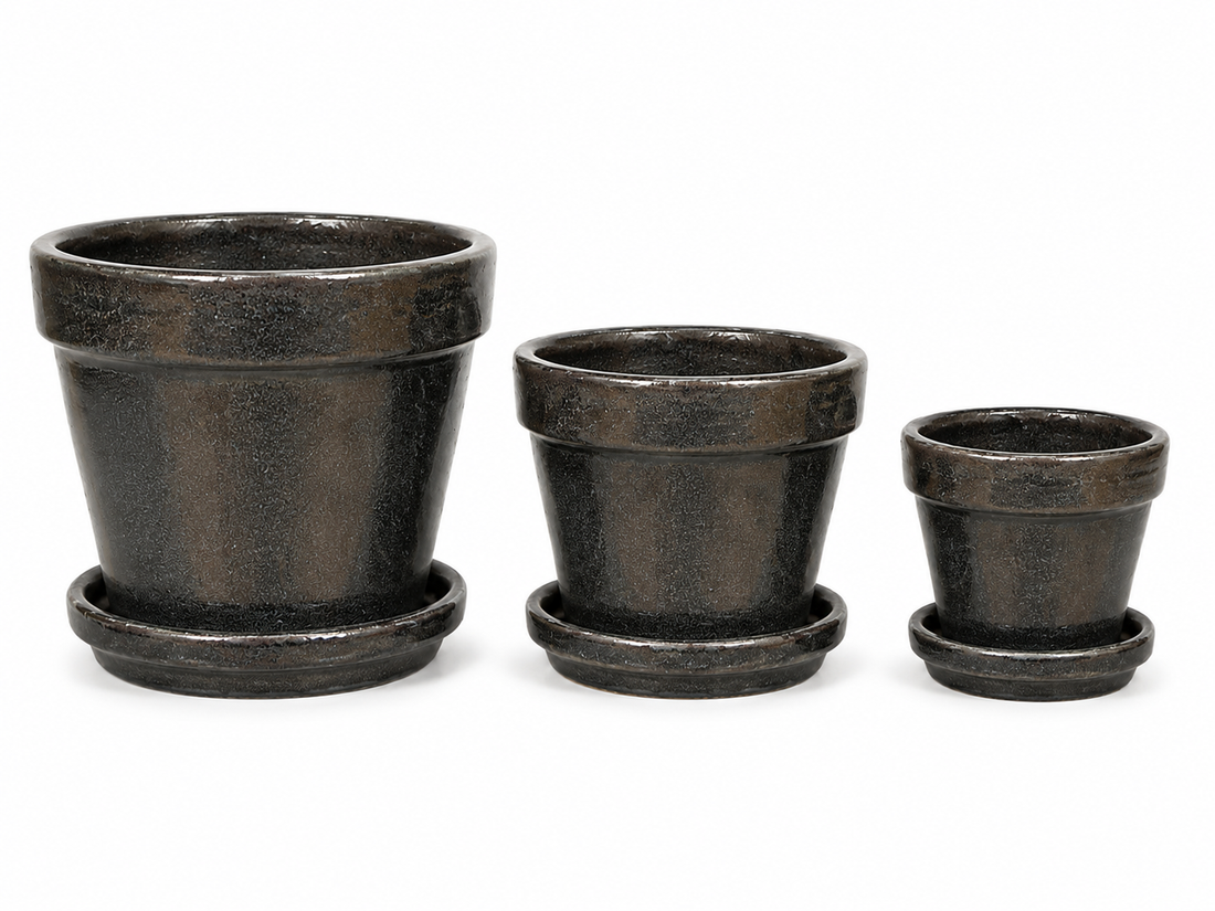 Cup Planter