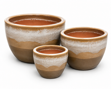 Belly Egg Planter