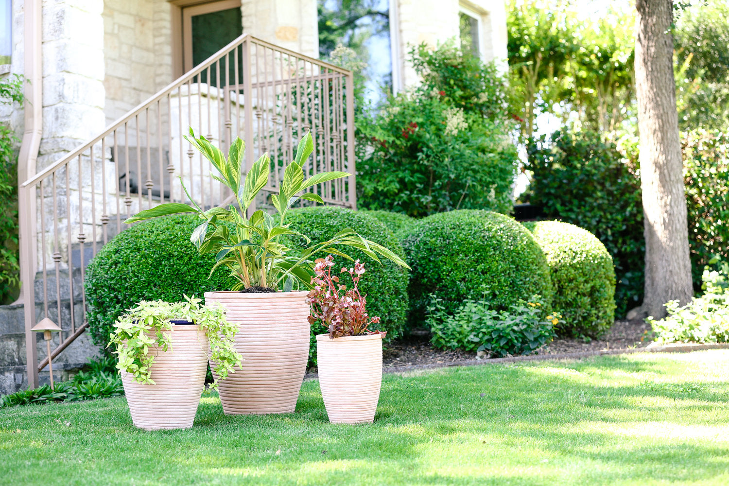An image of white pots outside an entryway.