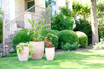 An image of white pots outside an entryway.
