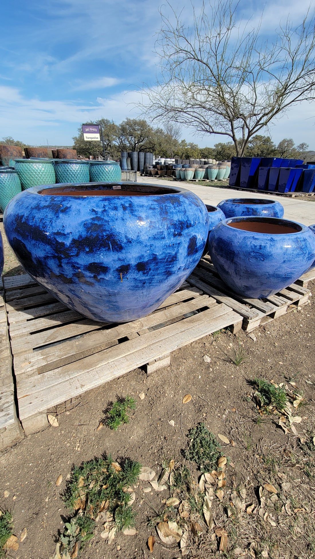 Hive Planter