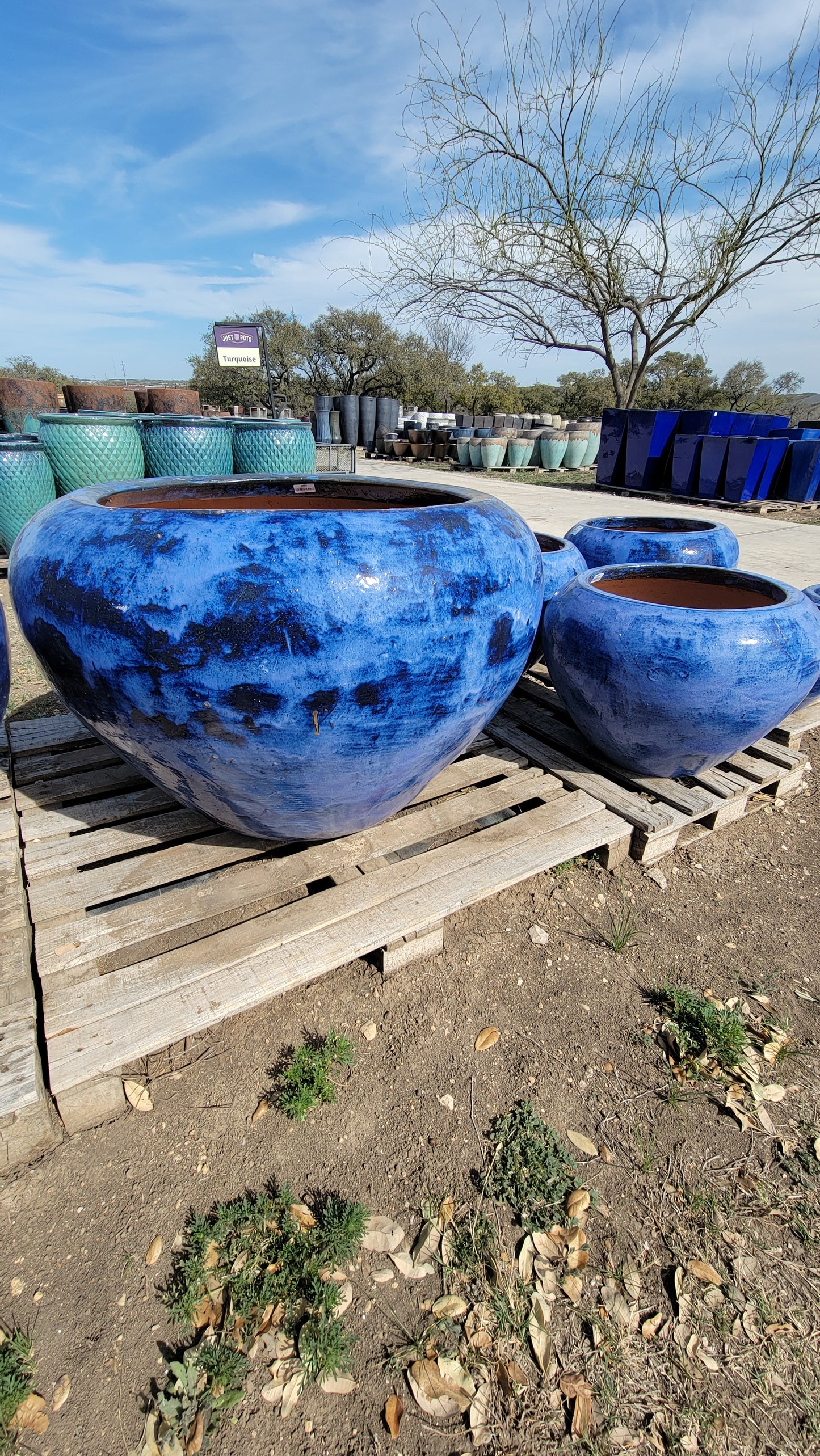 Stained Blue Hive Planter