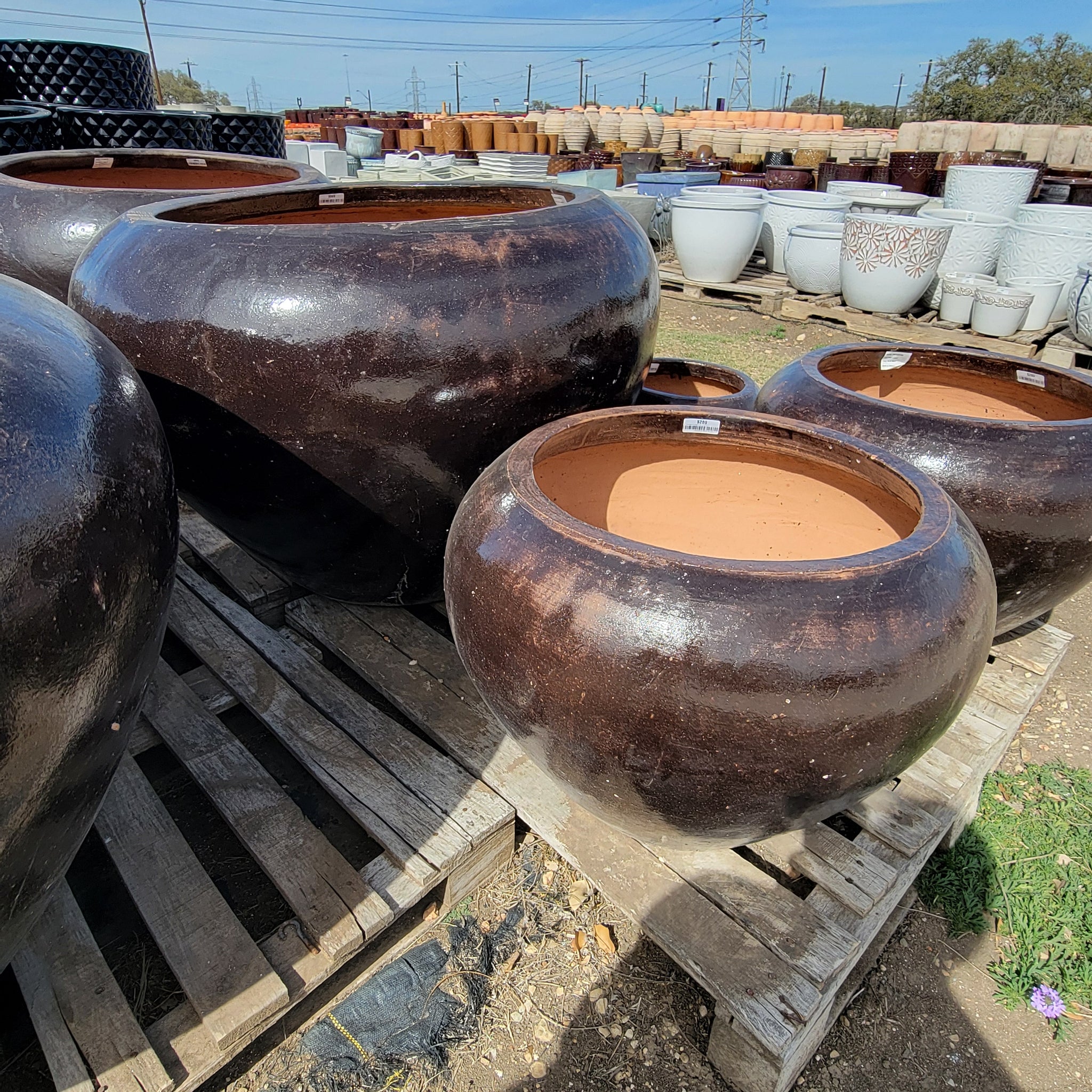 Hive Planter