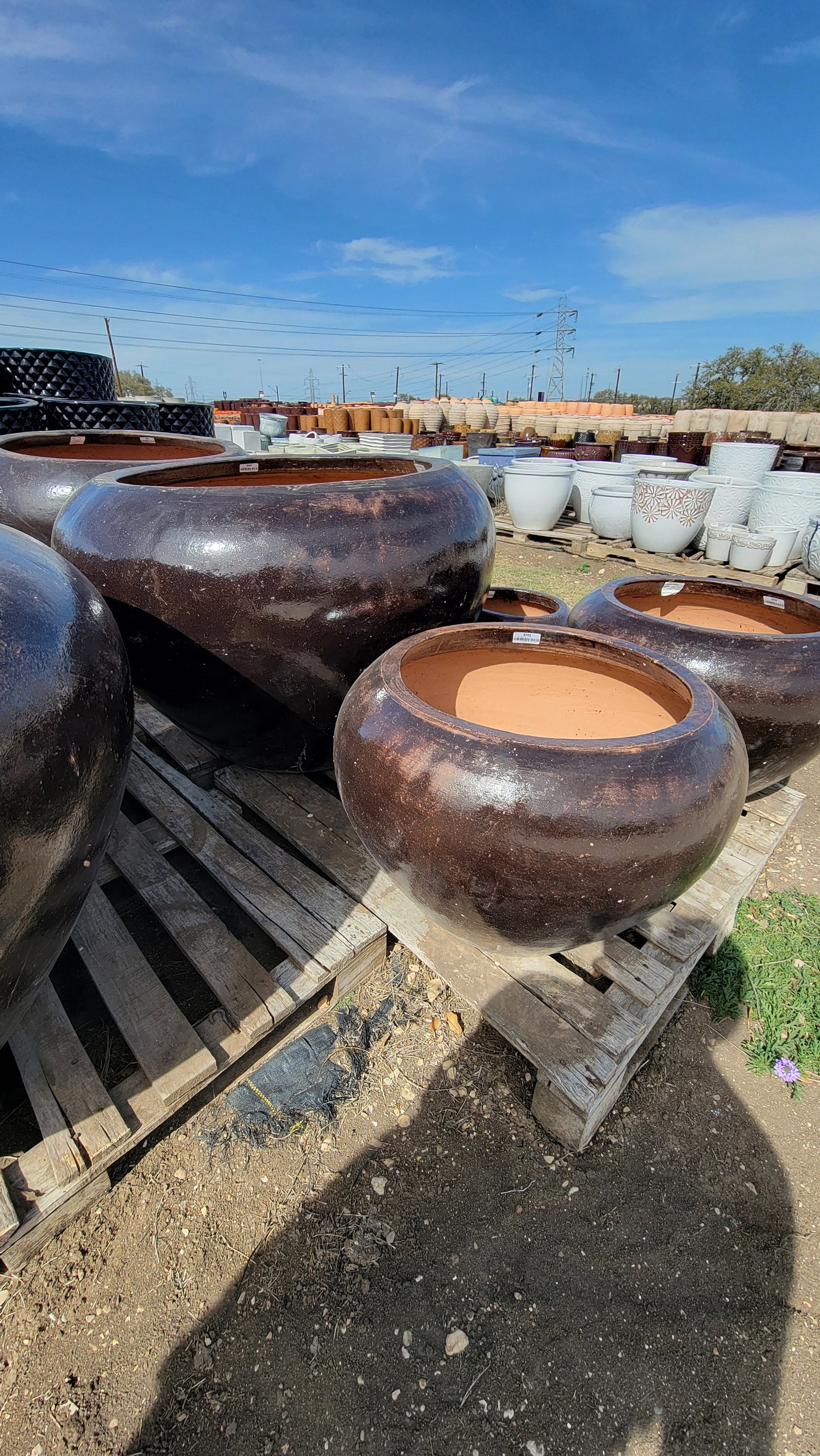 Hive Planter